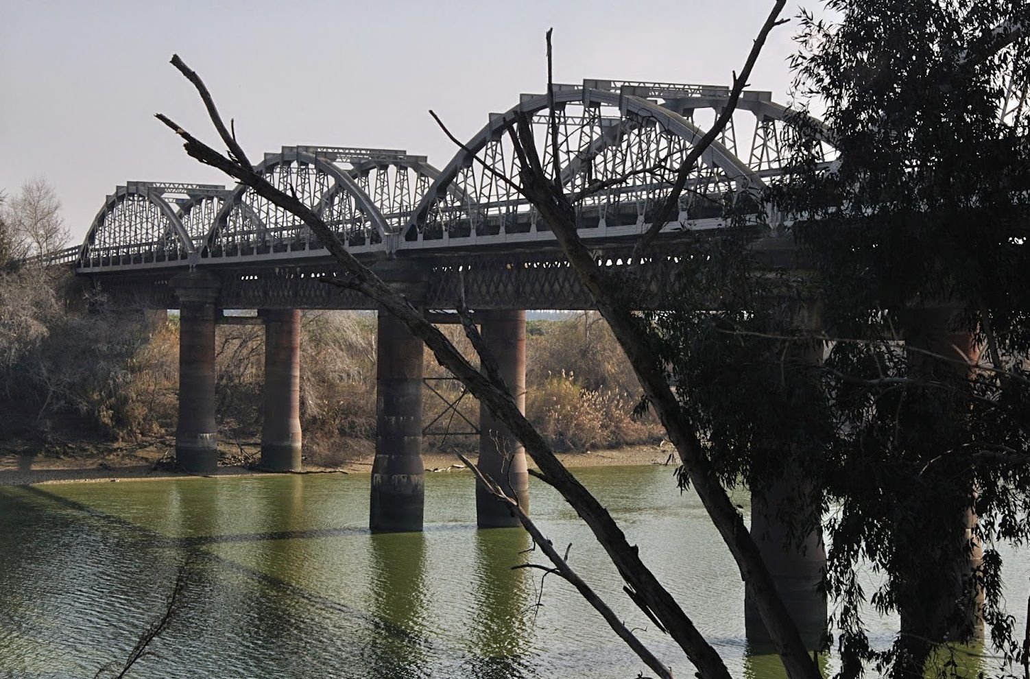 Imagen representativa de La Algaba